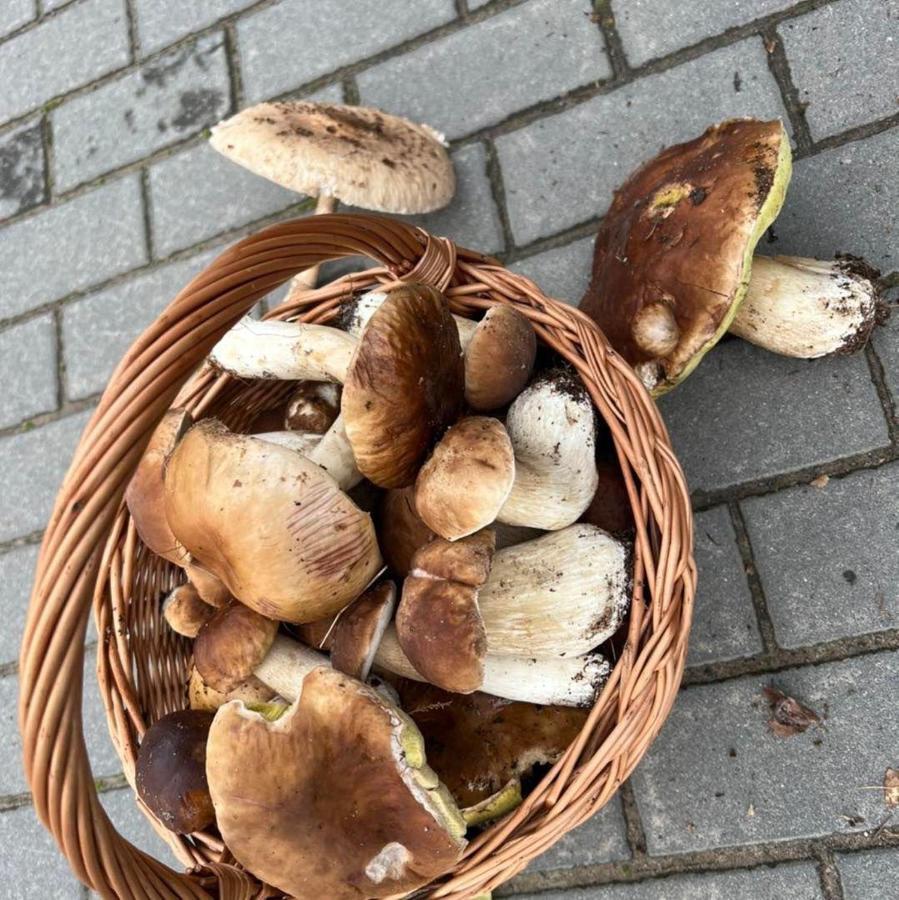 Domek Nad Jeziorem Myślibórz Esterno foto
